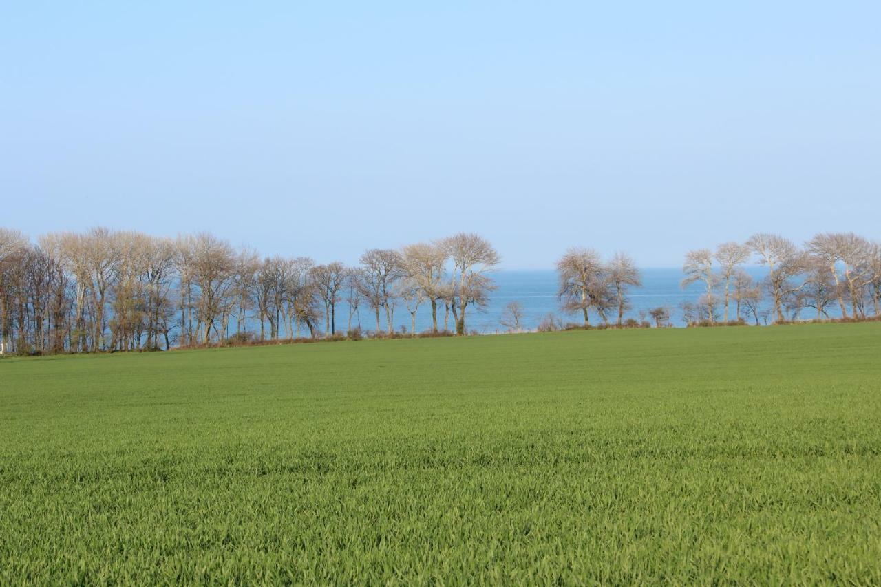 Ferienwohnungen Am Museumshof Fehmarn Exterior foto